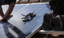 Energy Management Services